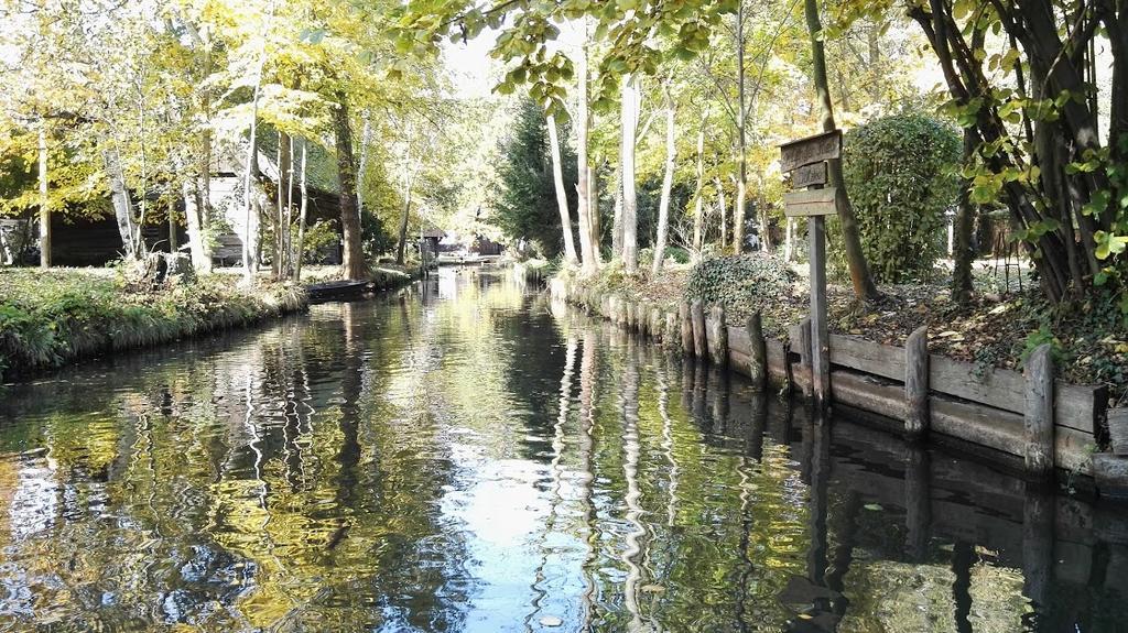 Spreewaldhaeuser Wiesner Lübbenau Buitenkant foto